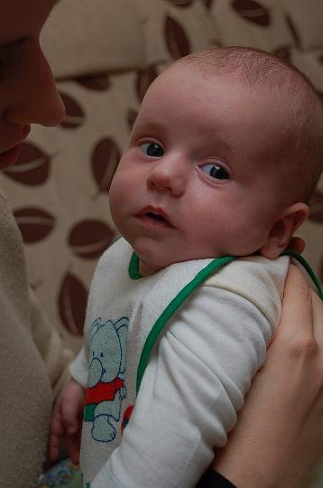 DSC_7445_resize.JPG